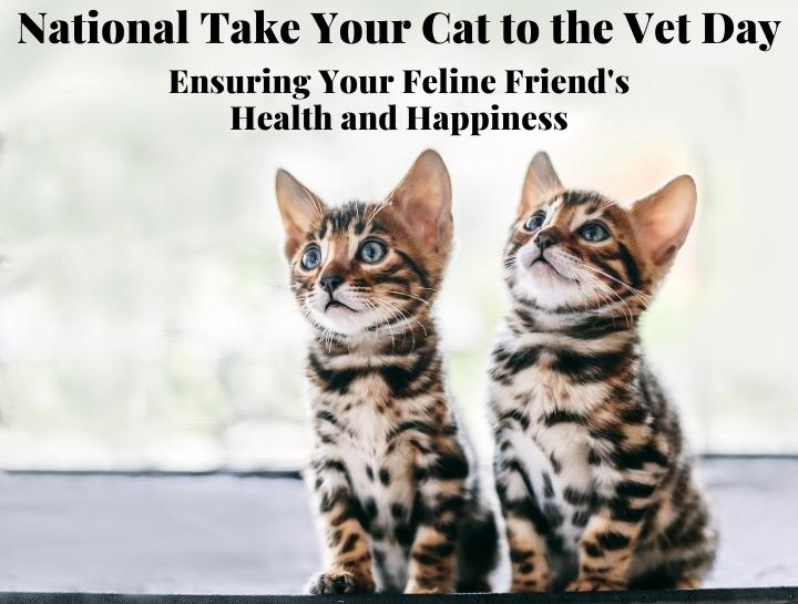 National Take Your Cat to the Vet Day: Ensuring Your Feline Friend's Health and Happiness
