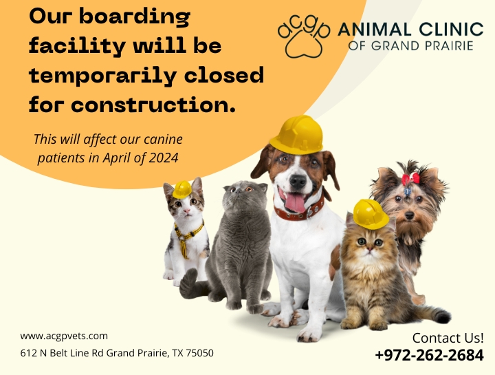 Our Boarding Facility Is Getting An Upgrade!